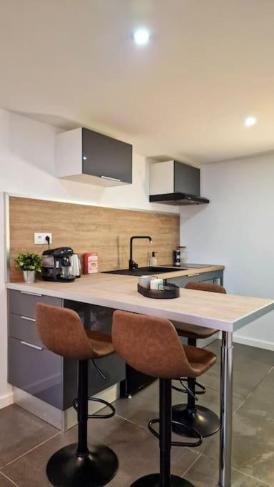 L'Atelier C Magnifique Loft Avec Terrasse Privee Apartment Saint-Etienne  Luaran gambar
